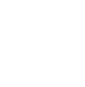 icon-cash